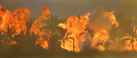 Seven Little-Known Facts Fans Need to Know About 'Apocalypse Now